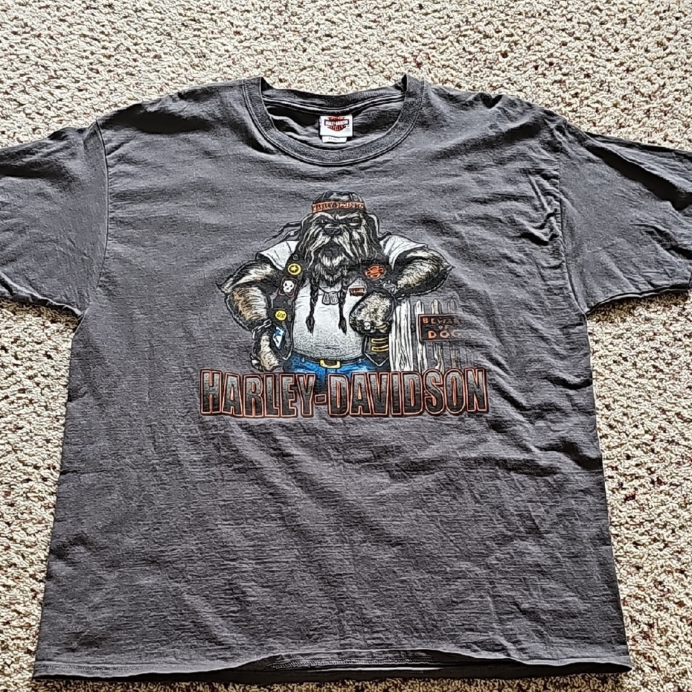 Harley Davidson T-shirt. Brand New Condition